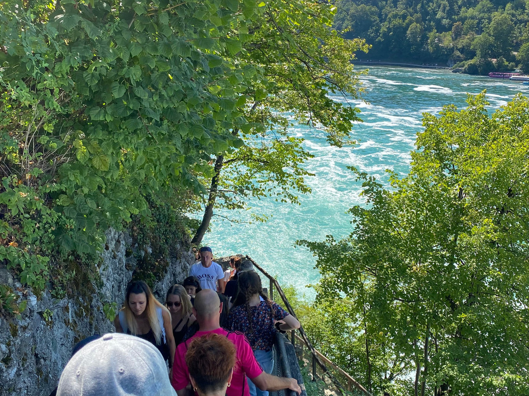 Rhine Falls景点图片