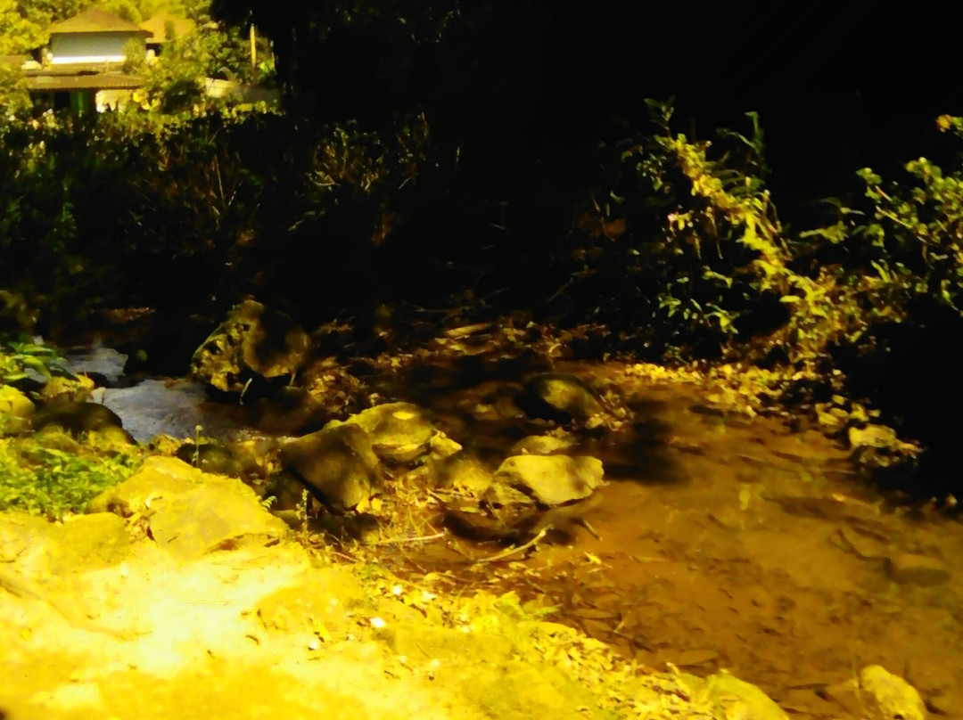 Cachoeira São José景点图片