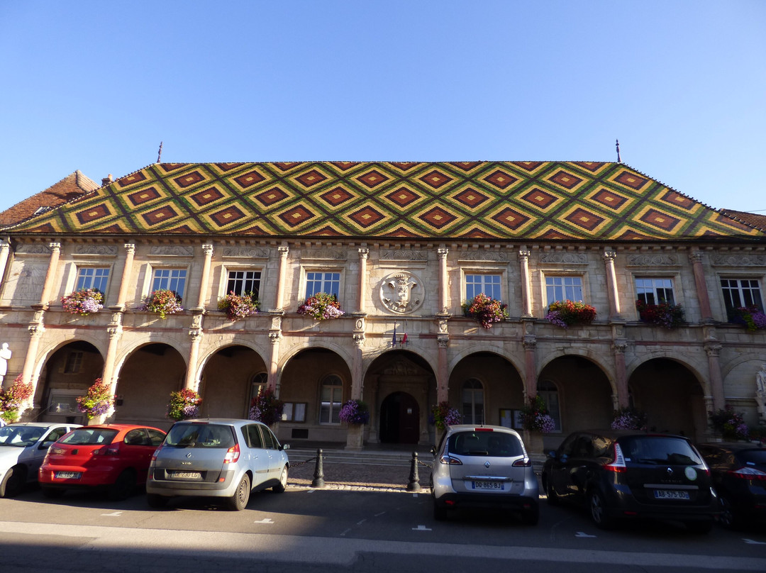Hôtel de Ville de Gray-格雷必去景点