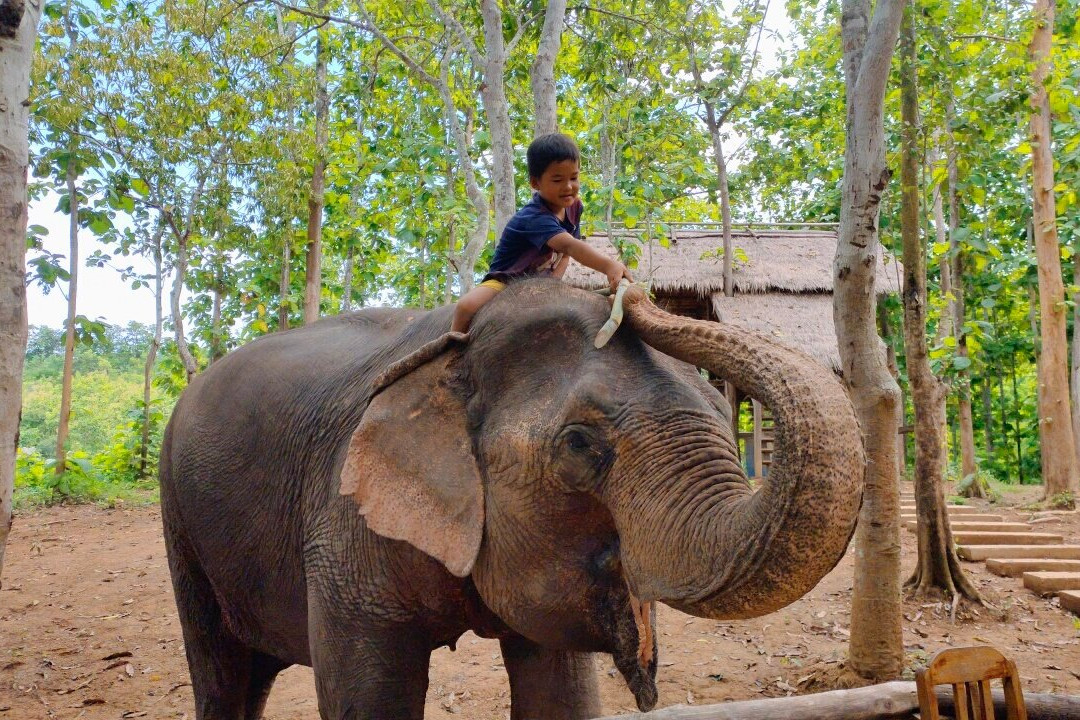 Sang Ha旅游攻略图片