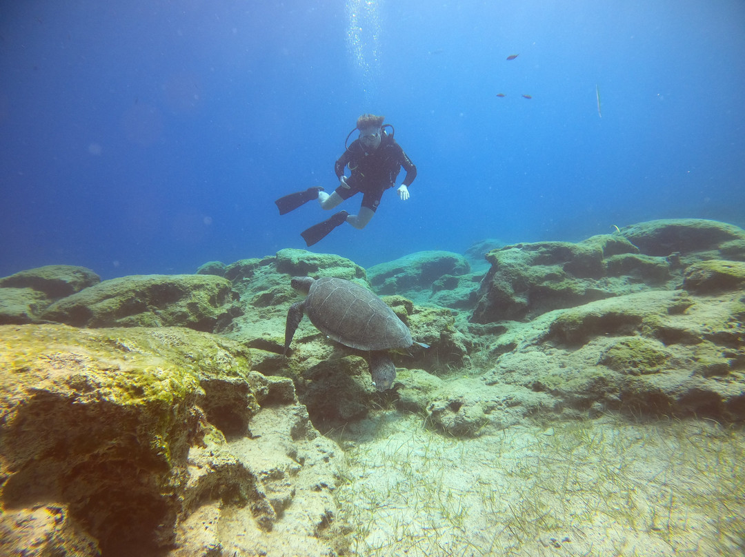 Undersea World Scuba Diving-皮拉必去景点