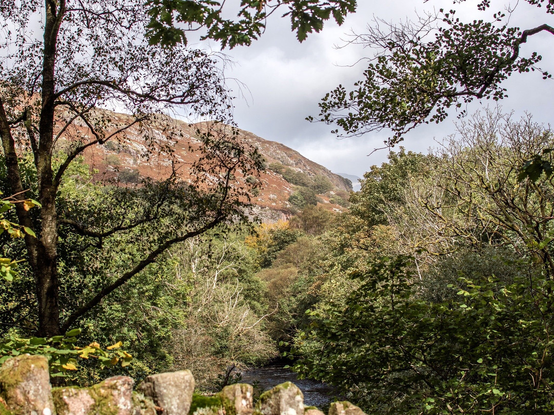 Eskdale Prehistoric Trail景点图片