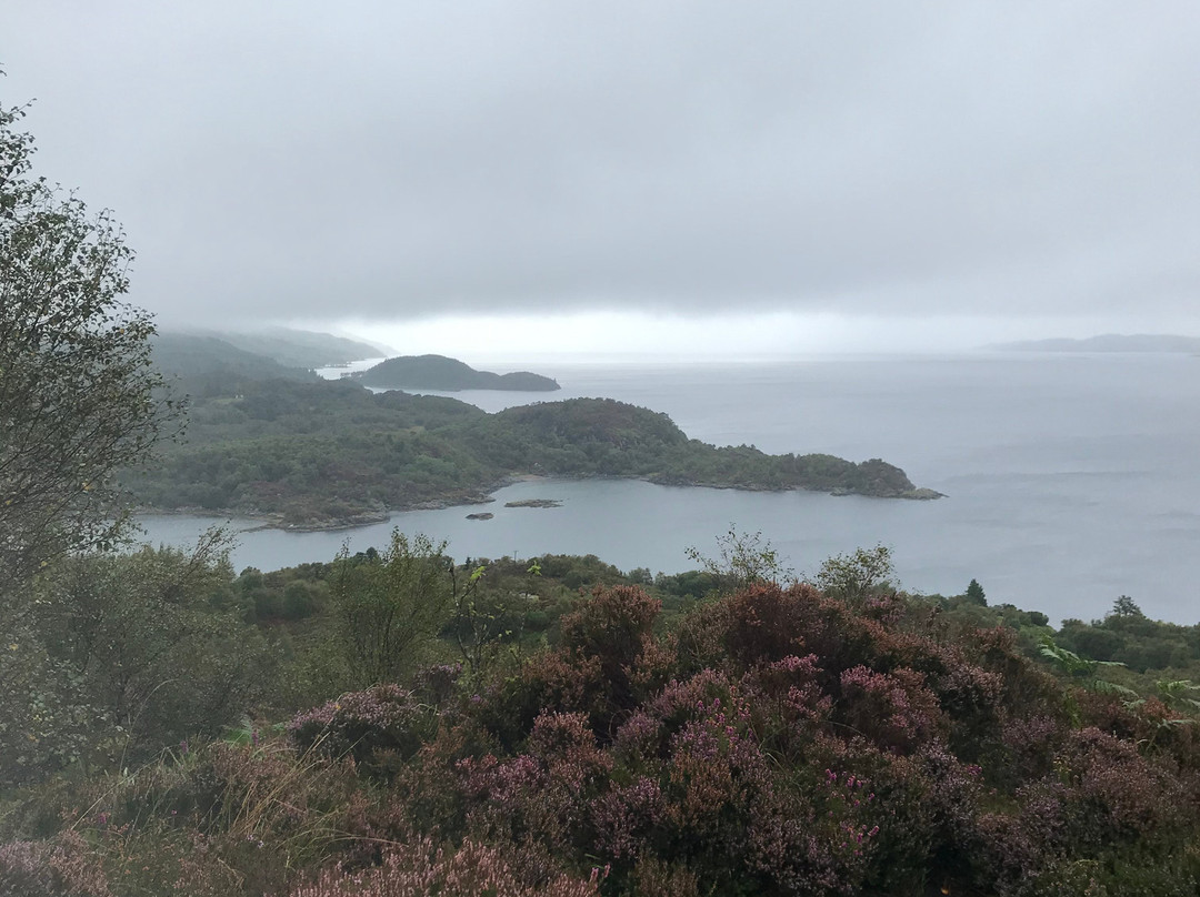 Tarbert Castle Circular Walk景点图片