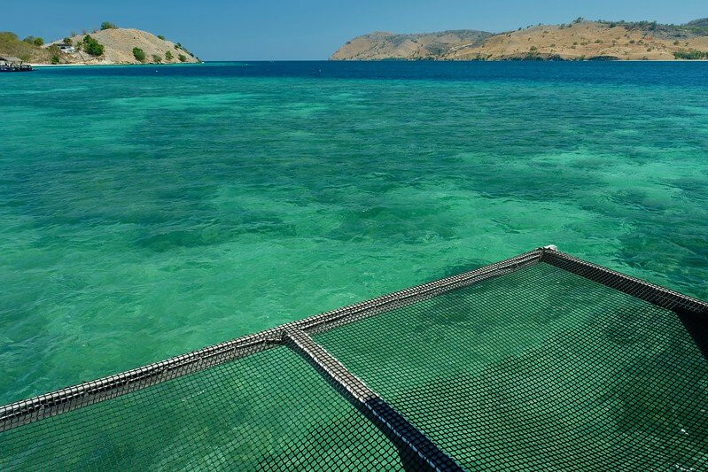 The Seraya Resort Komodo主图