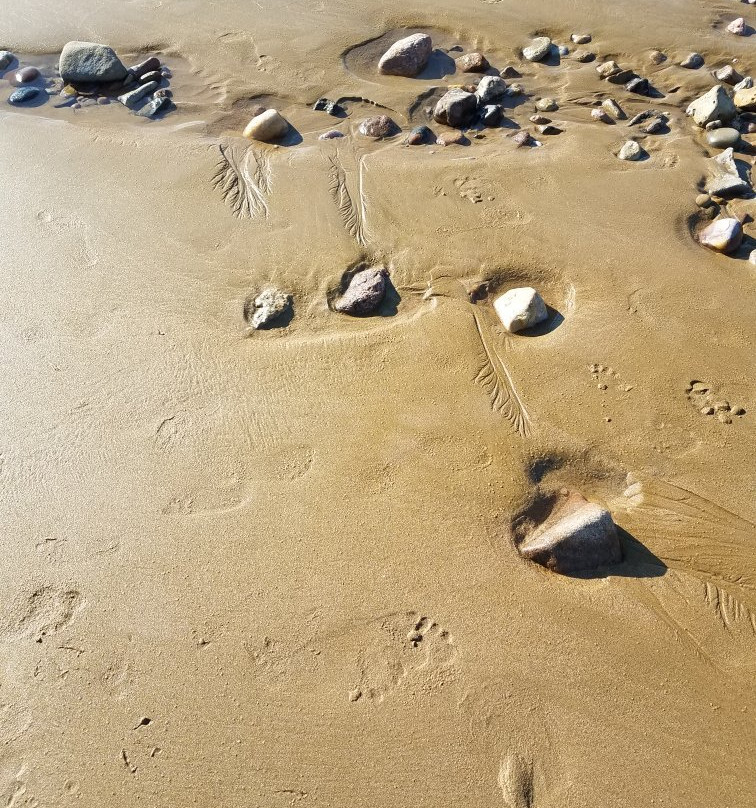 Plage de la Terrière景点图片