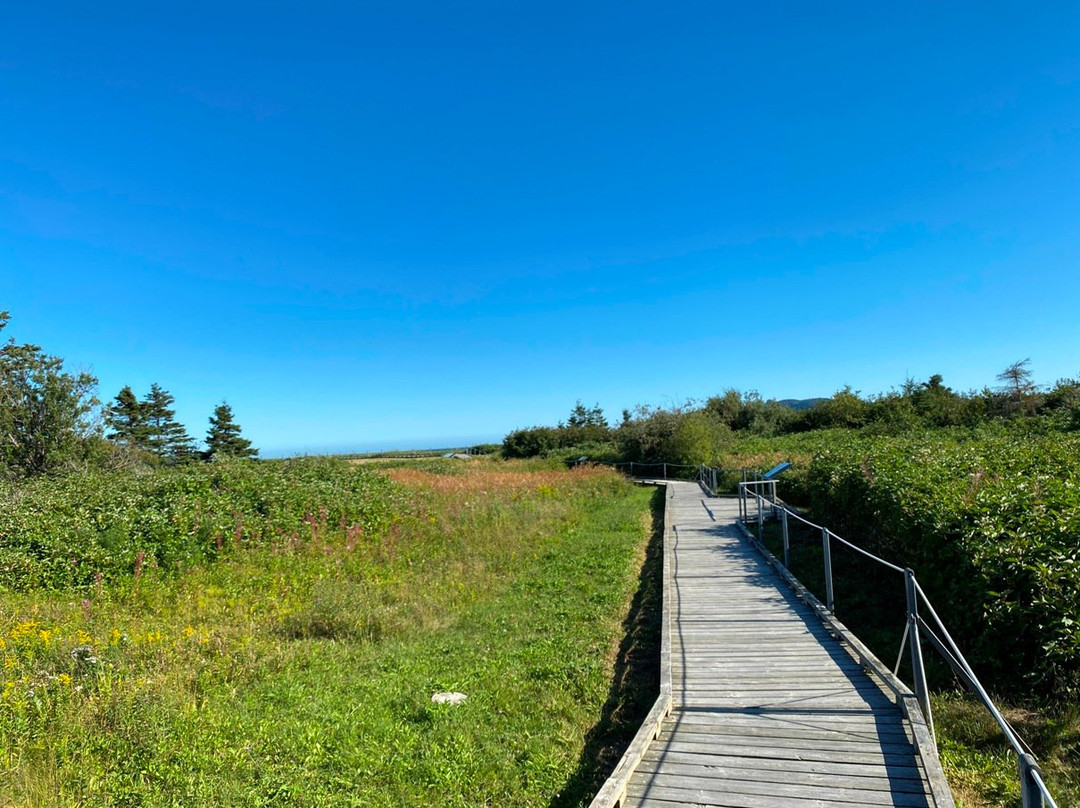 Hotel-Motel Le Pharillon主图