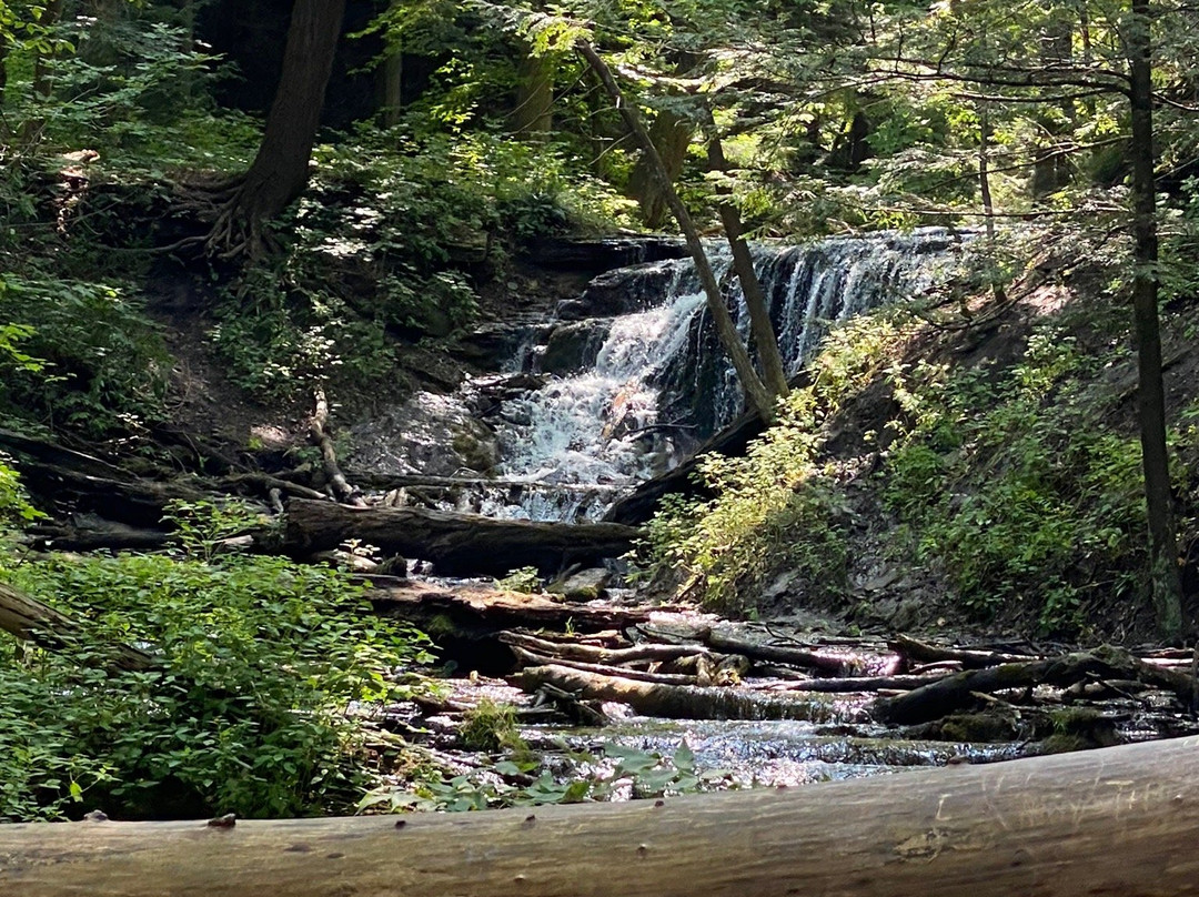 Harrison Park-Owen Sound必去景点