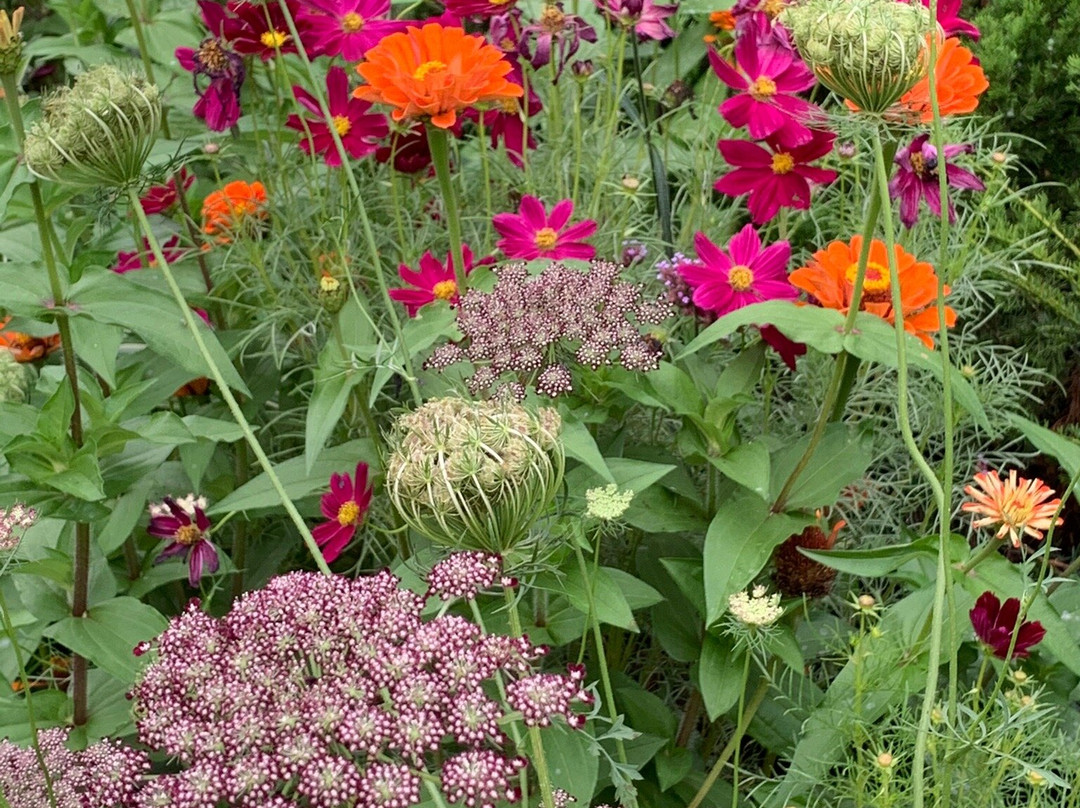 Oldfields-Lilly House and Gardens-印第安纳波利斯必去景点