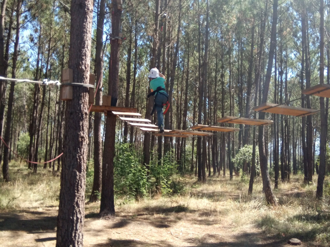 Parque Aventura São Jorge景点图片