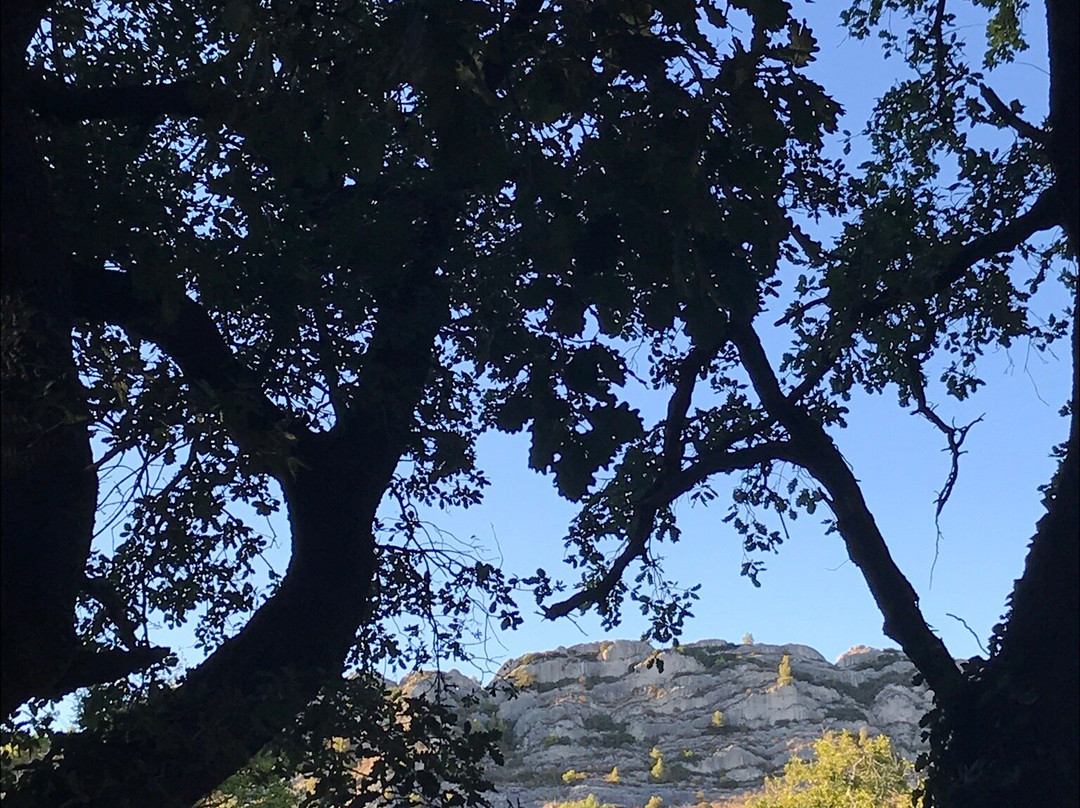 Château de Servanes主图