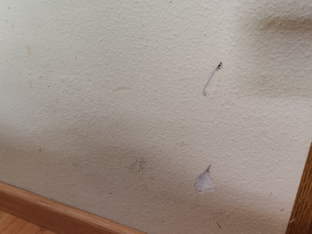 钟楼阿利坎特酒店主图