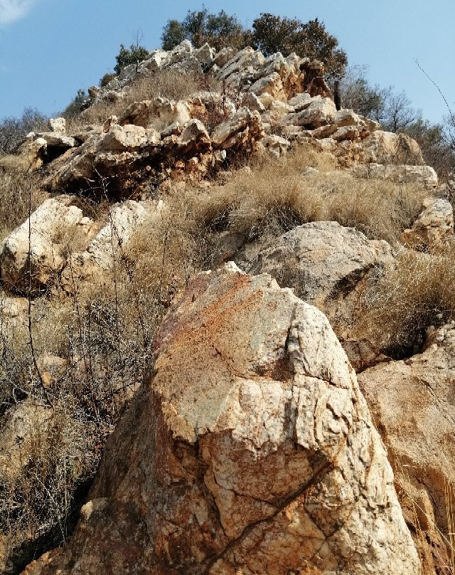 Dome Impact Tours-Parys必去景点