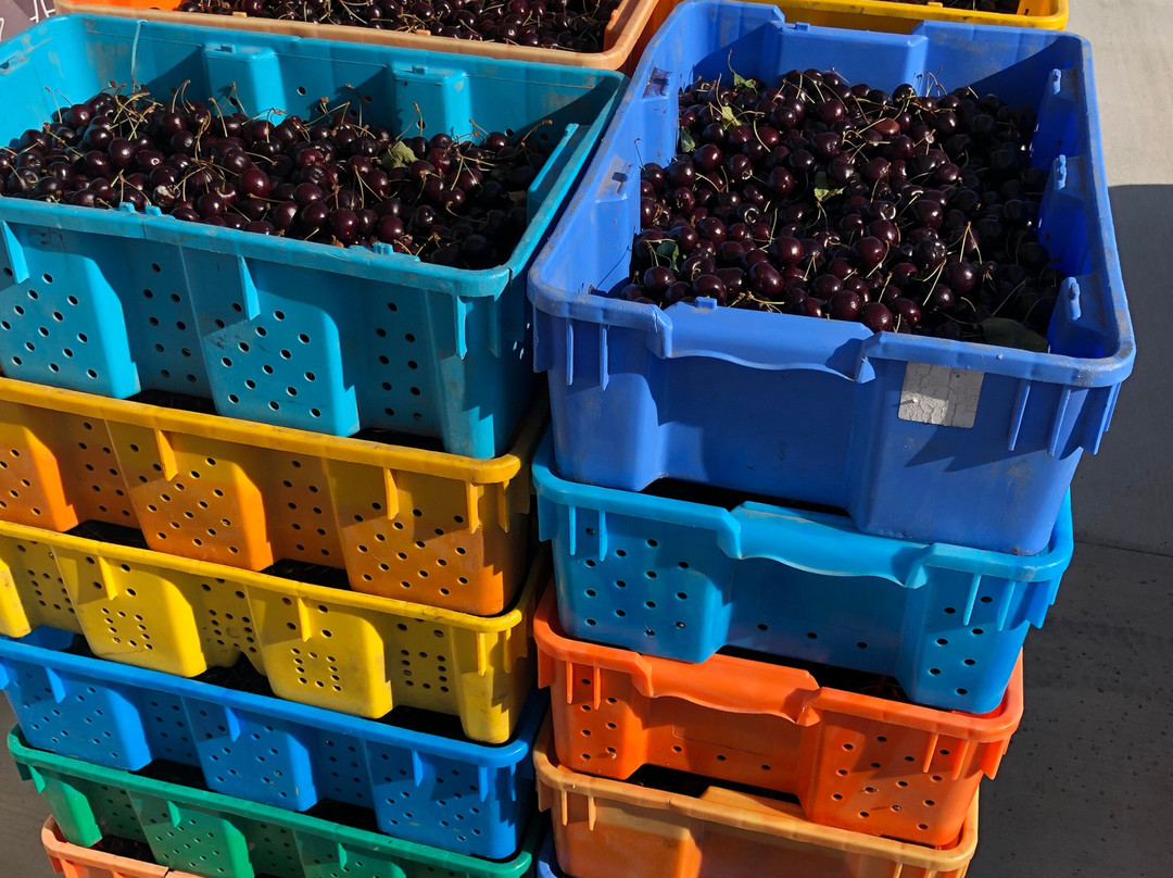 Tongue River Winery-迈尔斯城必去景点