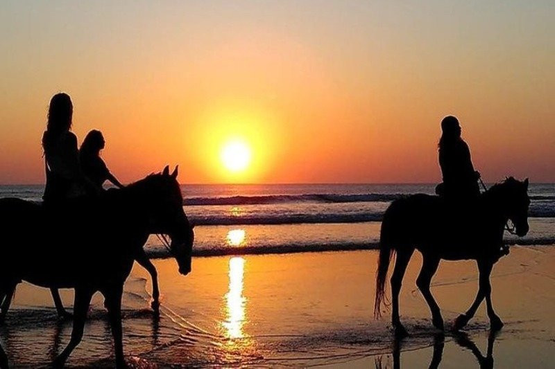 Xperience by Horse-Zahora必去景点