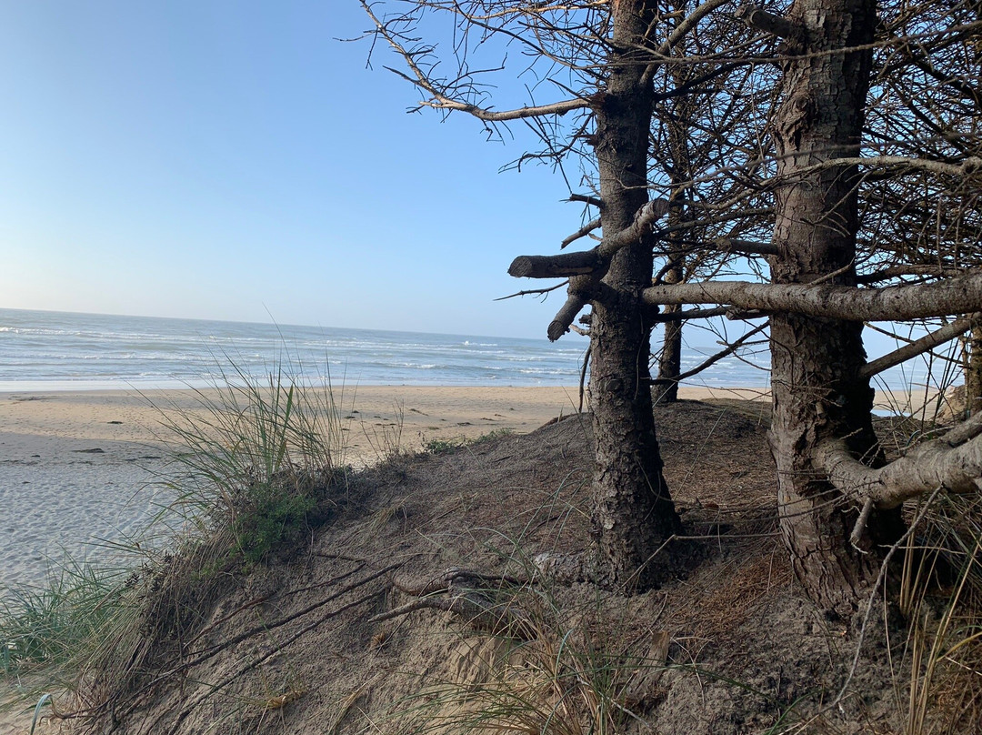 Bastendorff Beach-Charleston必去景点