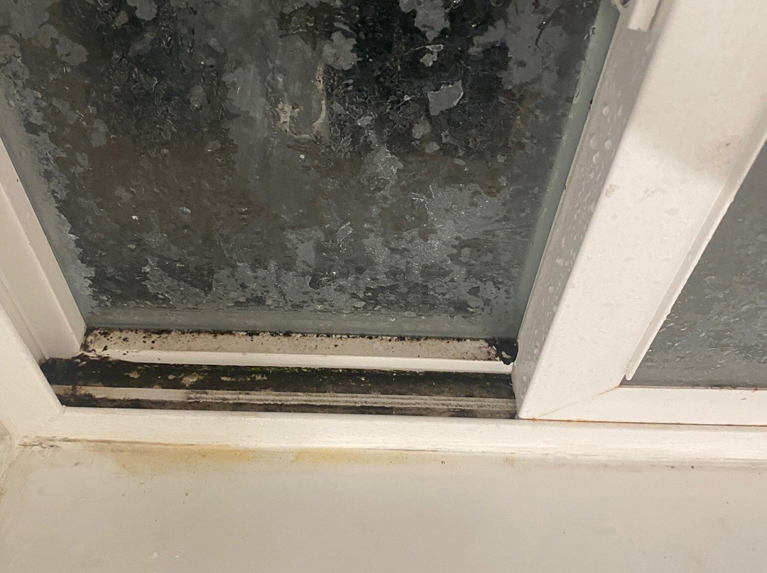 Oyo Silver Spur Burns Hwy 20主图