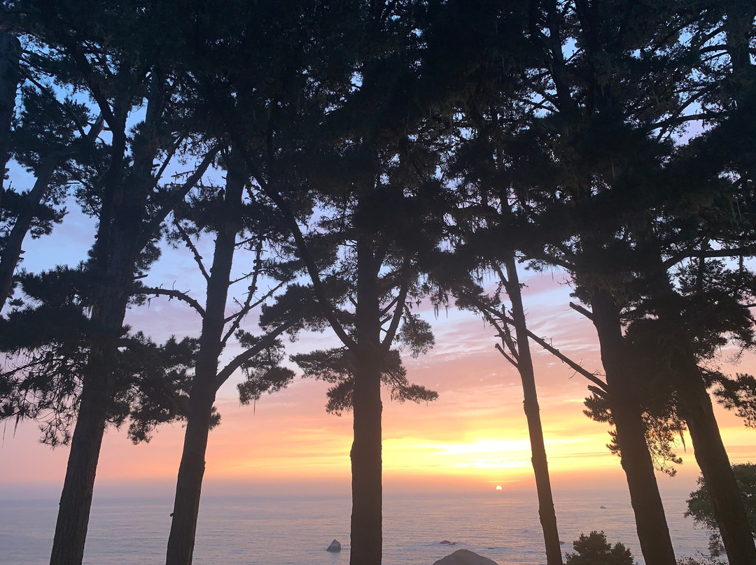 Lost Whale Inn主图