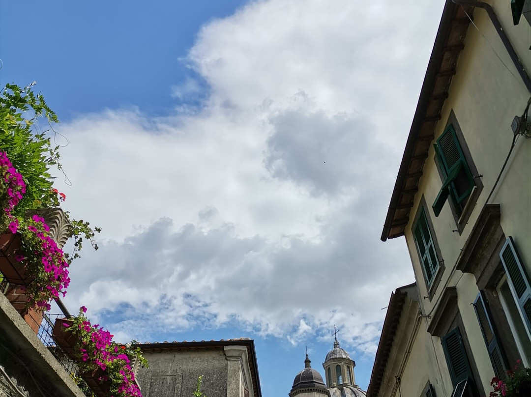 Cattedrale di Santa Margherita景点图片