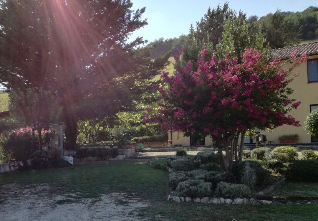 Agriturismo Gli Ippocastani主图