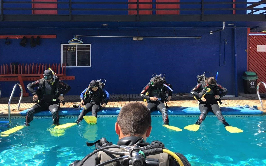 Buceo Pichidangui Dive Center景点图片