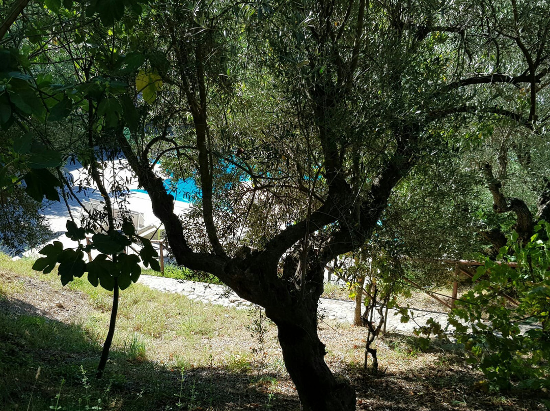 Agriturismo La Turritella主图