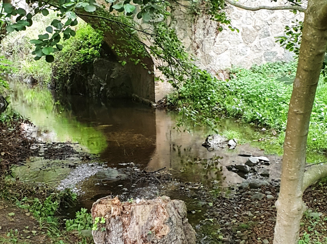 Hotel & Spa La Central主图