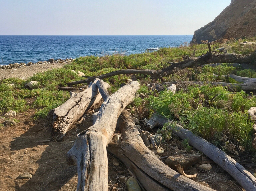 Spiaggia del Cannello景点图片