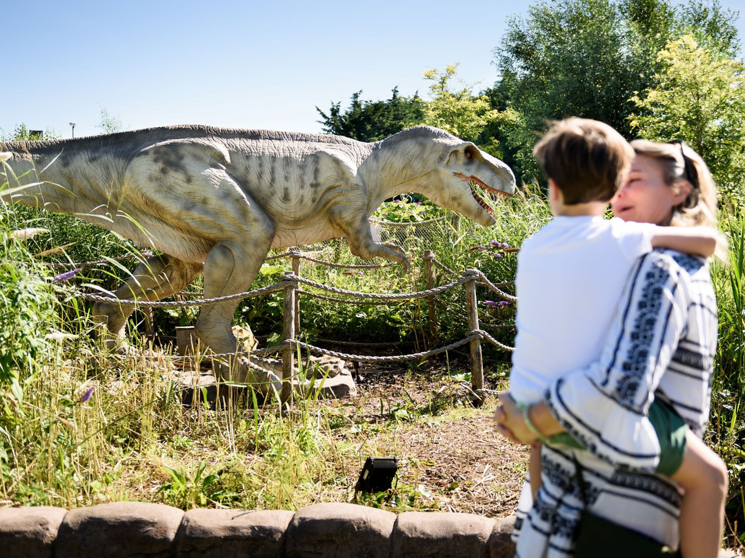 Dino Experience Park景点图片