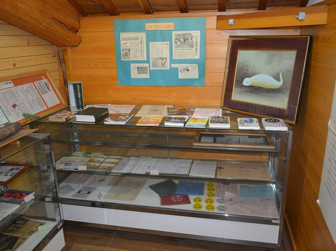 Tsuchinoko Hall-东白川村必去景点