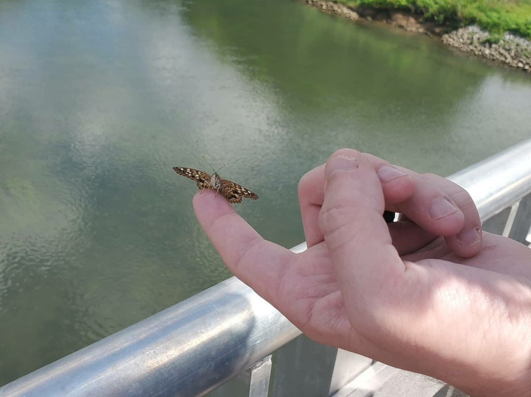 Seven Islands State Birding Park-Kodak必去景点