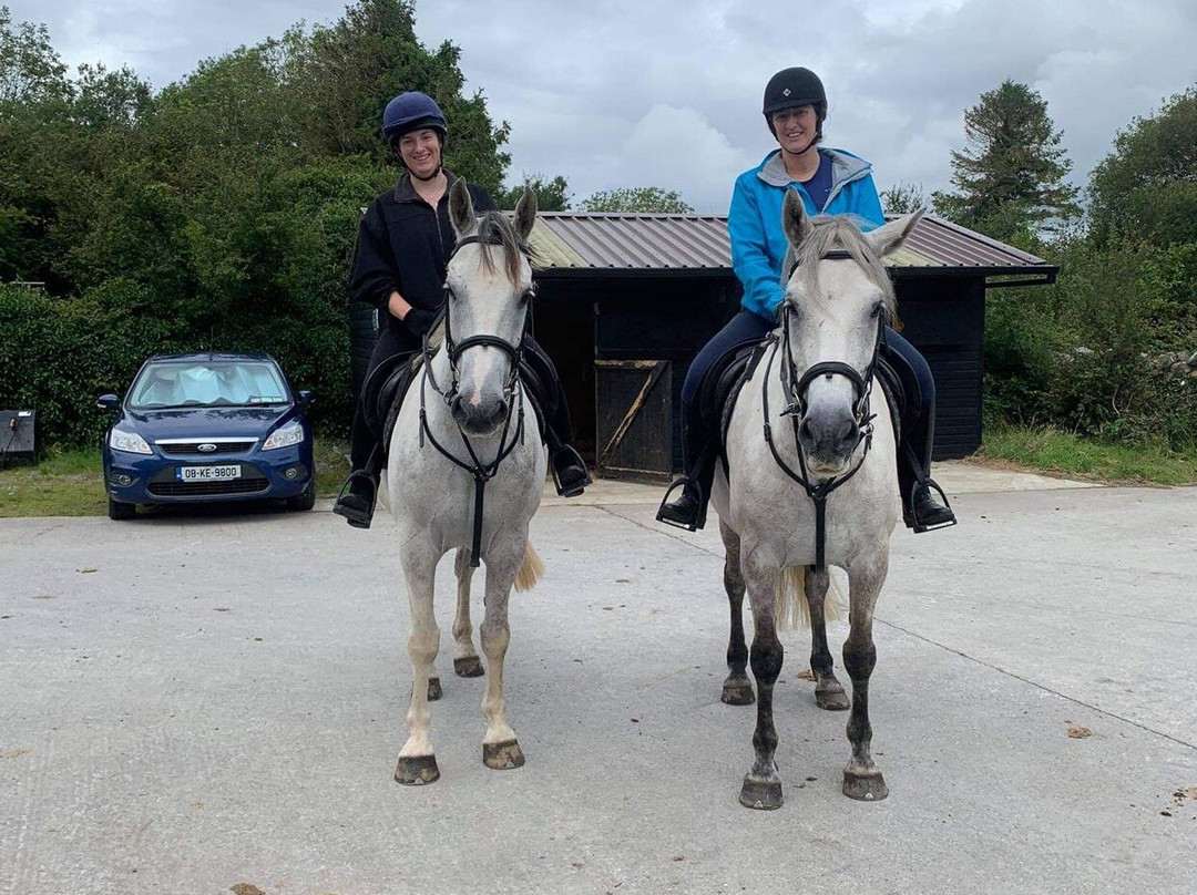 Connemara Equestrian Escapes景点图片
