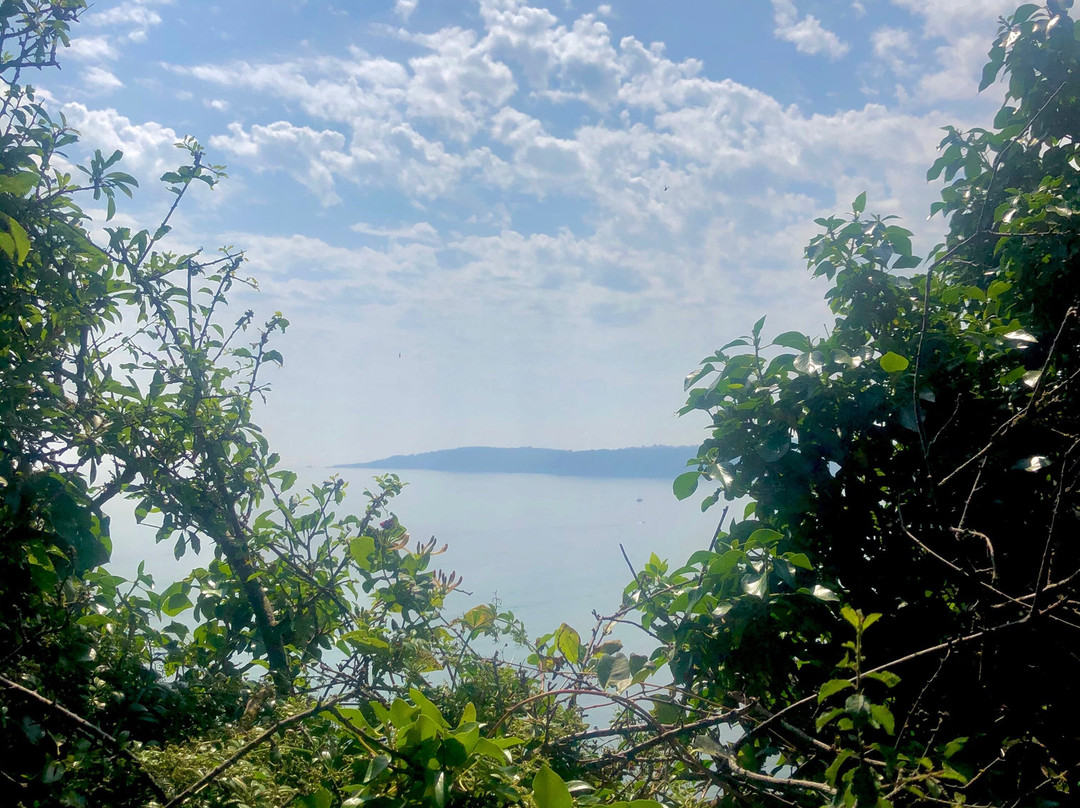 RSPB Labrador Bay Nature Reserve景点图片
