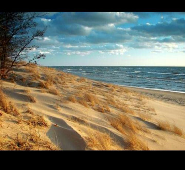 Muskegon State Park景点图片
