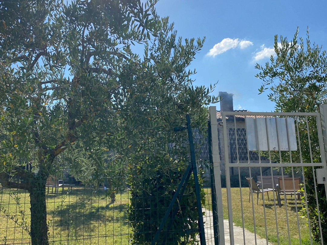 Tenuta Decimo Il Borgo Di Mariano主图