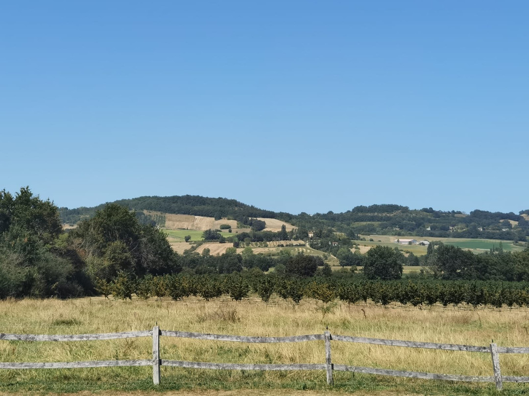 Domaine de Pagnagues主图