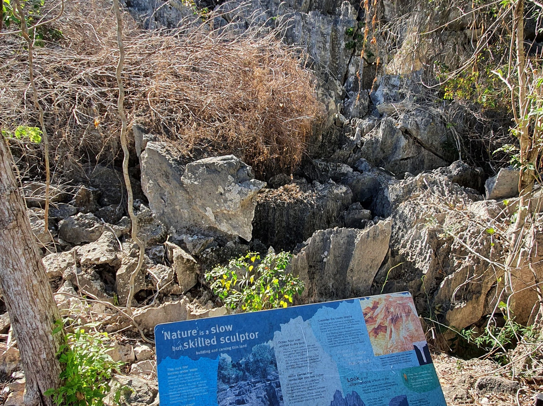 Mount Etna Caves National Park-The Caves必去景点