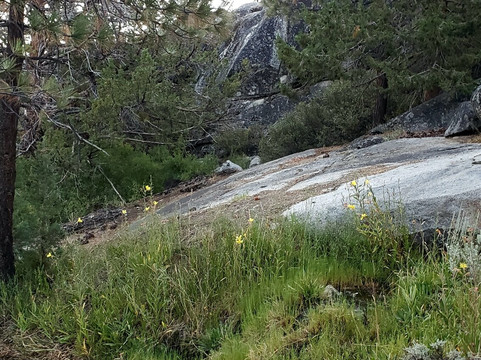 Mono Hot Springs Trail