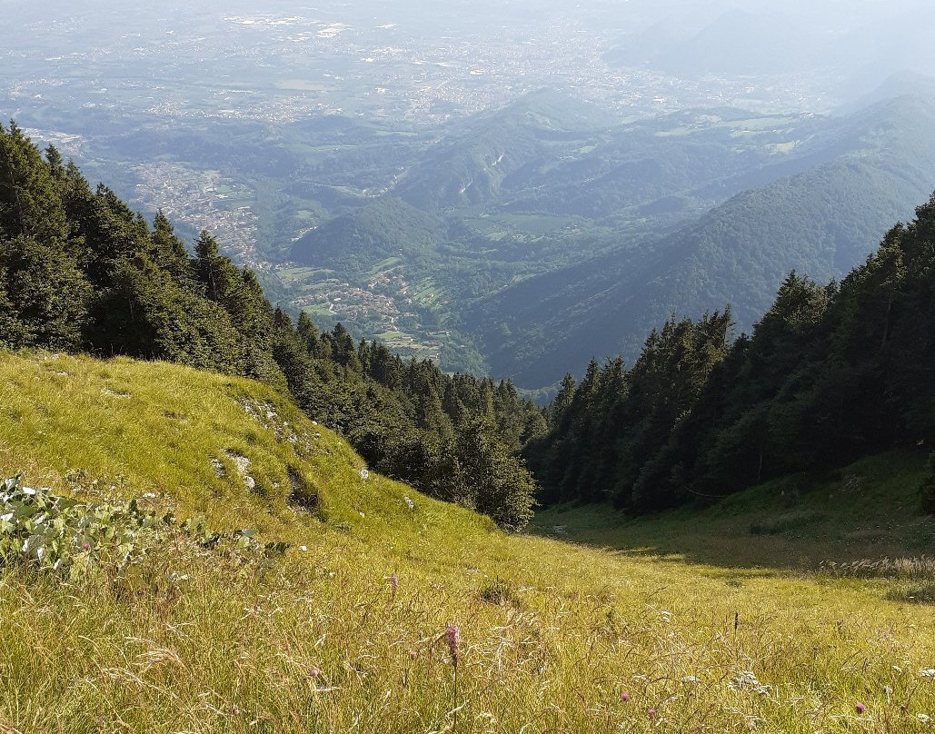 Monte Pizzoc景点图片
