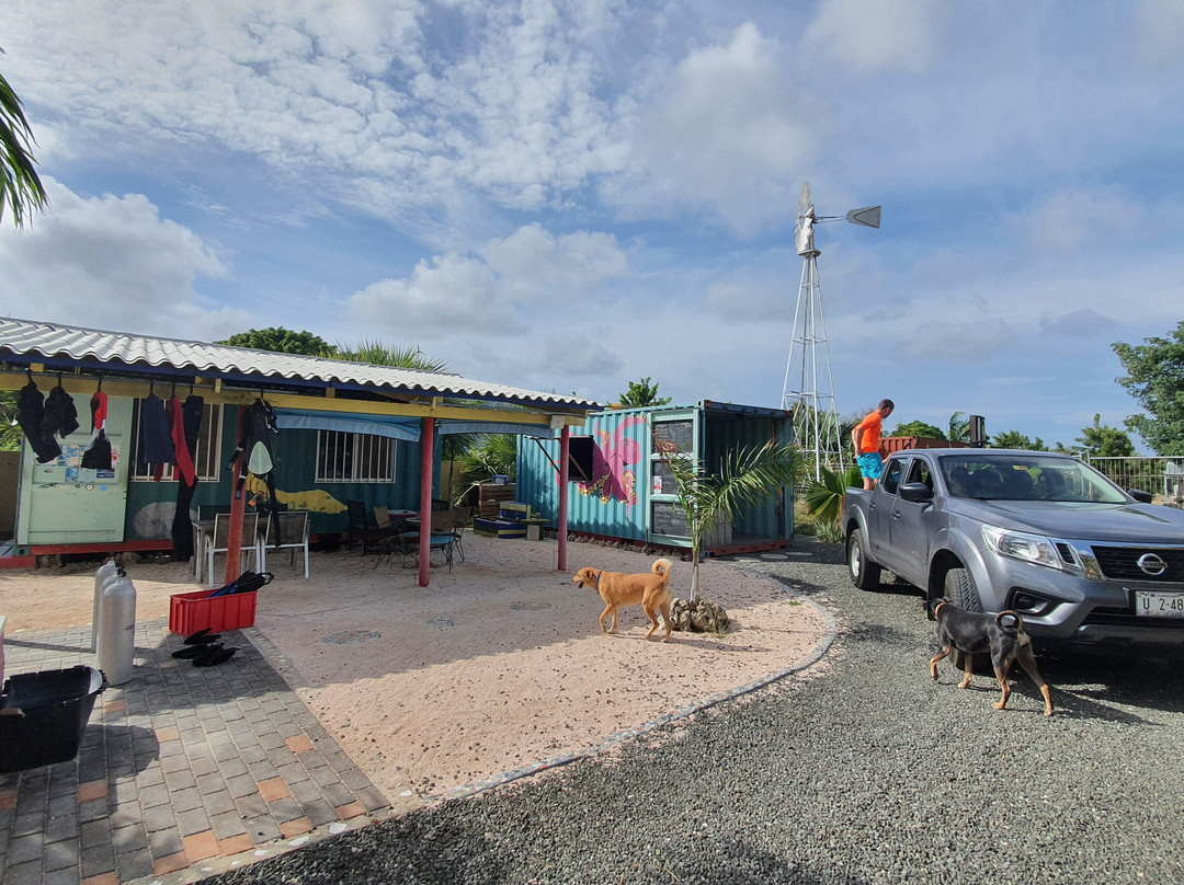 Central Dive Curacao-威廉斯塔德必去景点