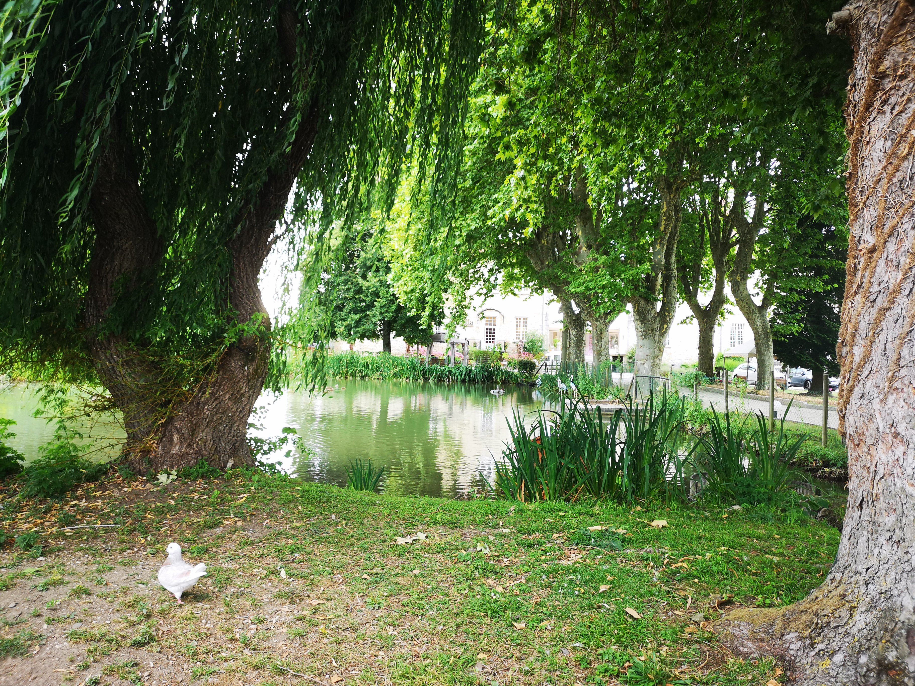 Château de Chapeau Cornu-浴室