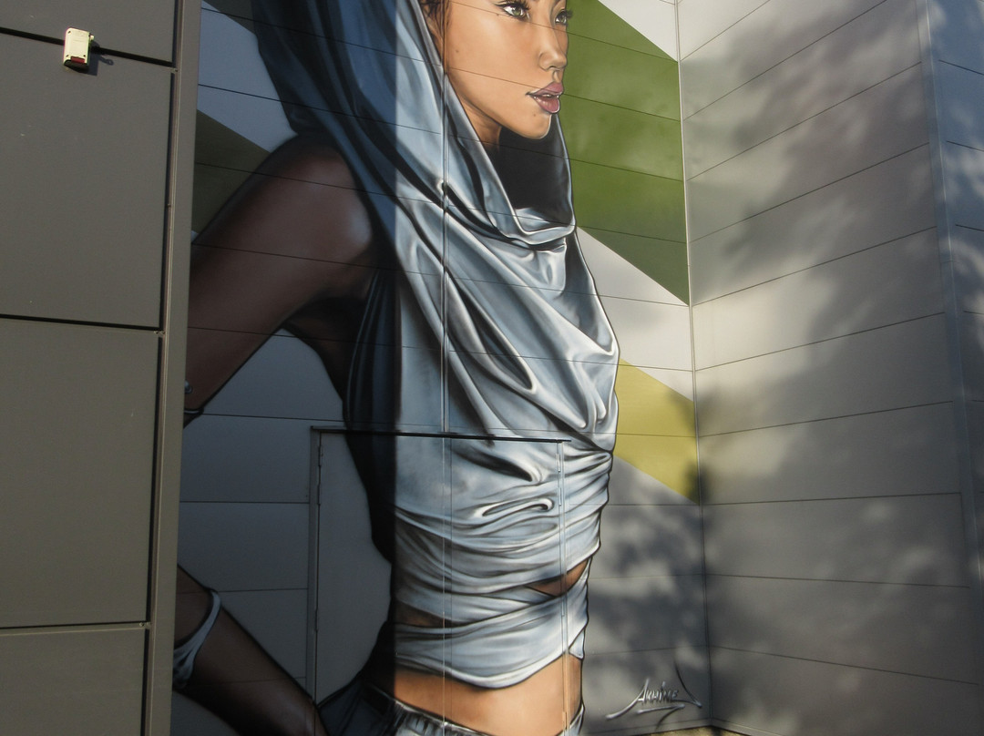 Fresque "Amazone"景点图片