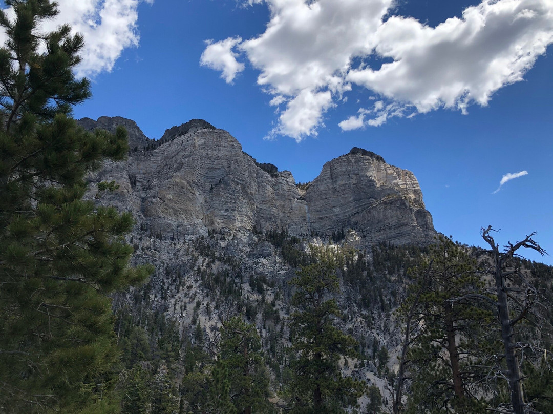 Trail Canyon Trail景点图片