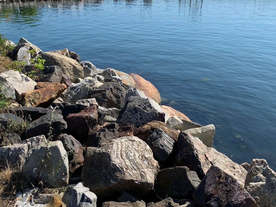 Harbor Park景点图片
