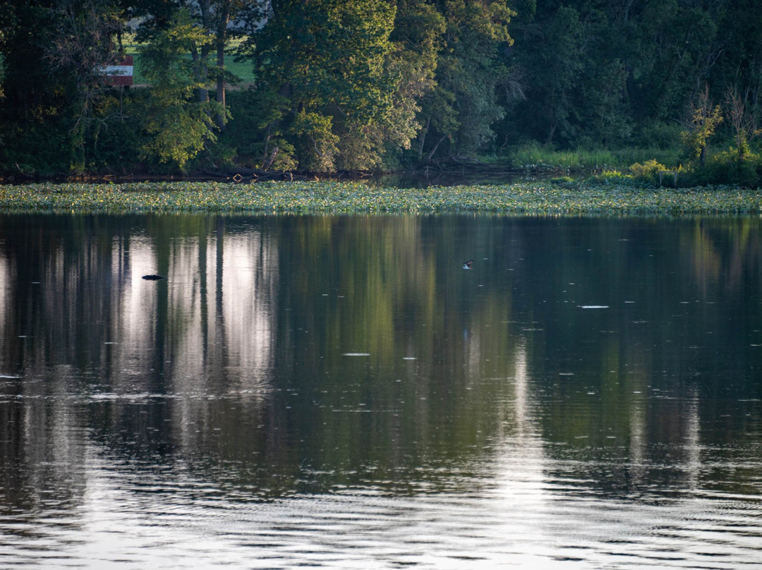 Belle Grove Plantation Bed and Breakfast主图