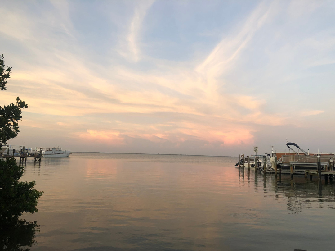 Jensen's "On the Gulf"主图