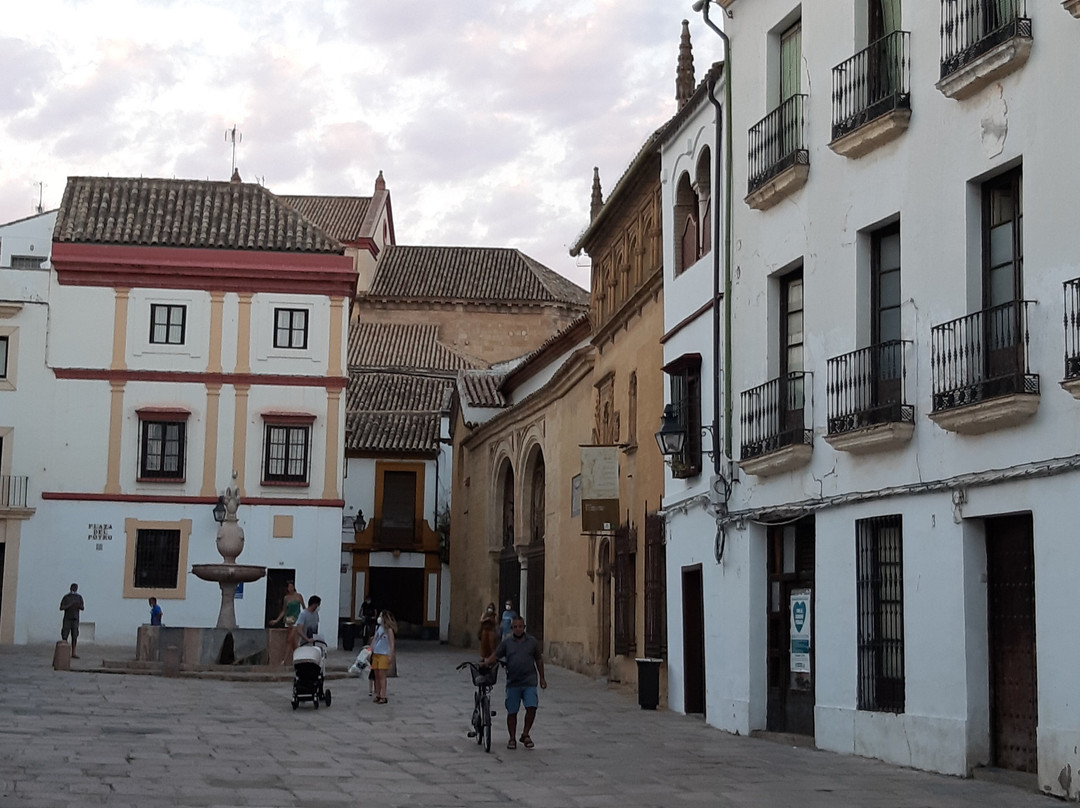 Plaza del Potro景点图片