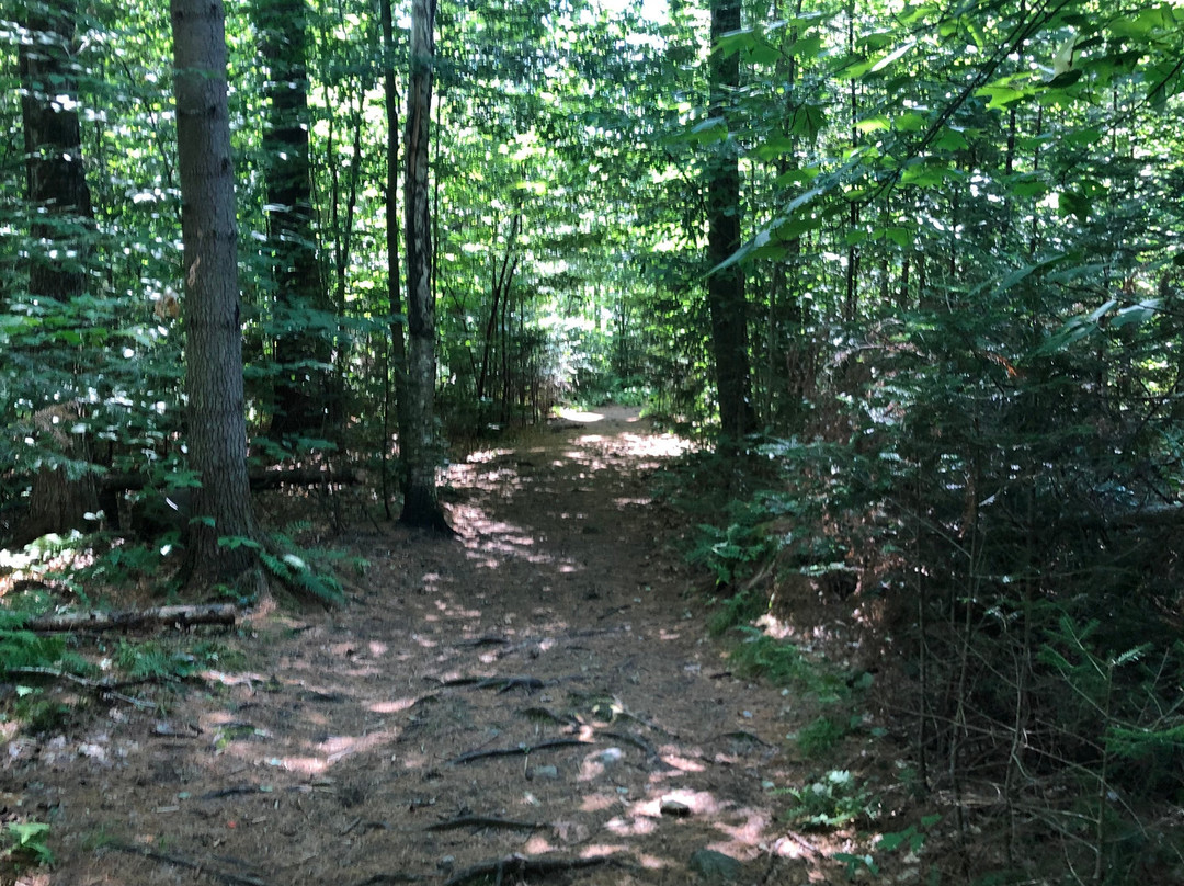 Wiessner Woods-斯托必去景点