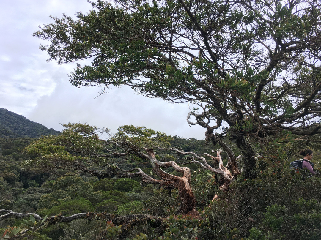 Gunung Irau (Mount Irau)-碧兰璋必去景点