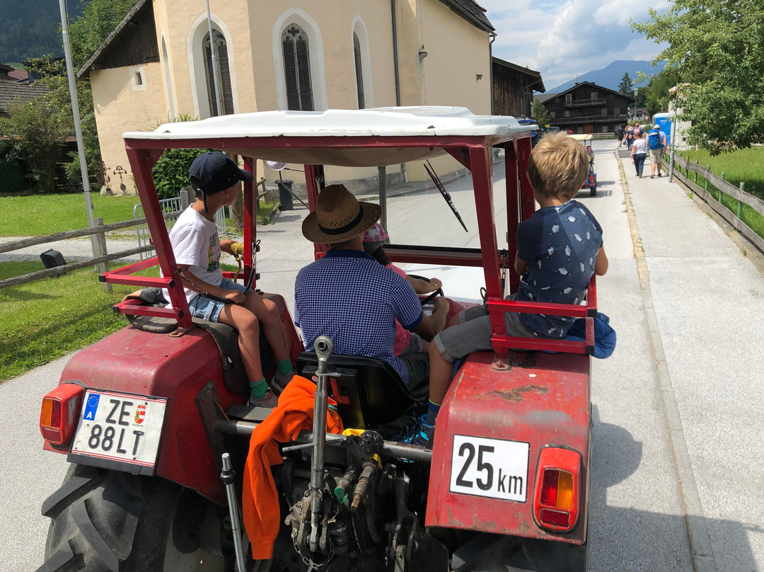 Kinderhotel Felben主图