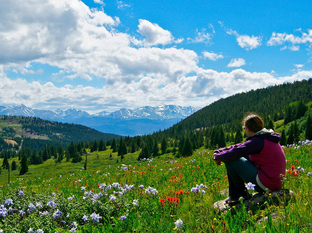 Grand West Village Resort主图